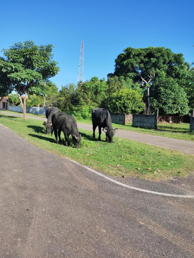 Pousada Ventania Do Rio-Mar Joanes المظهر الخارجي الصورة