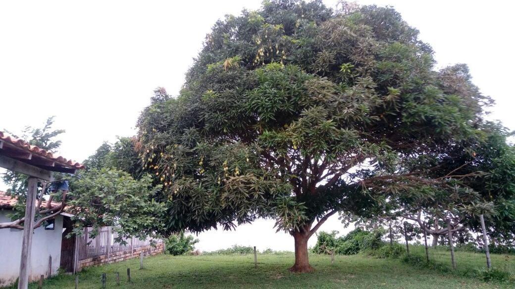 Pousada Ventania Do Rio-Mar Joanes المظهر الخارجي الصورة